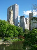 Central-park-b