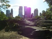 Central-park-c