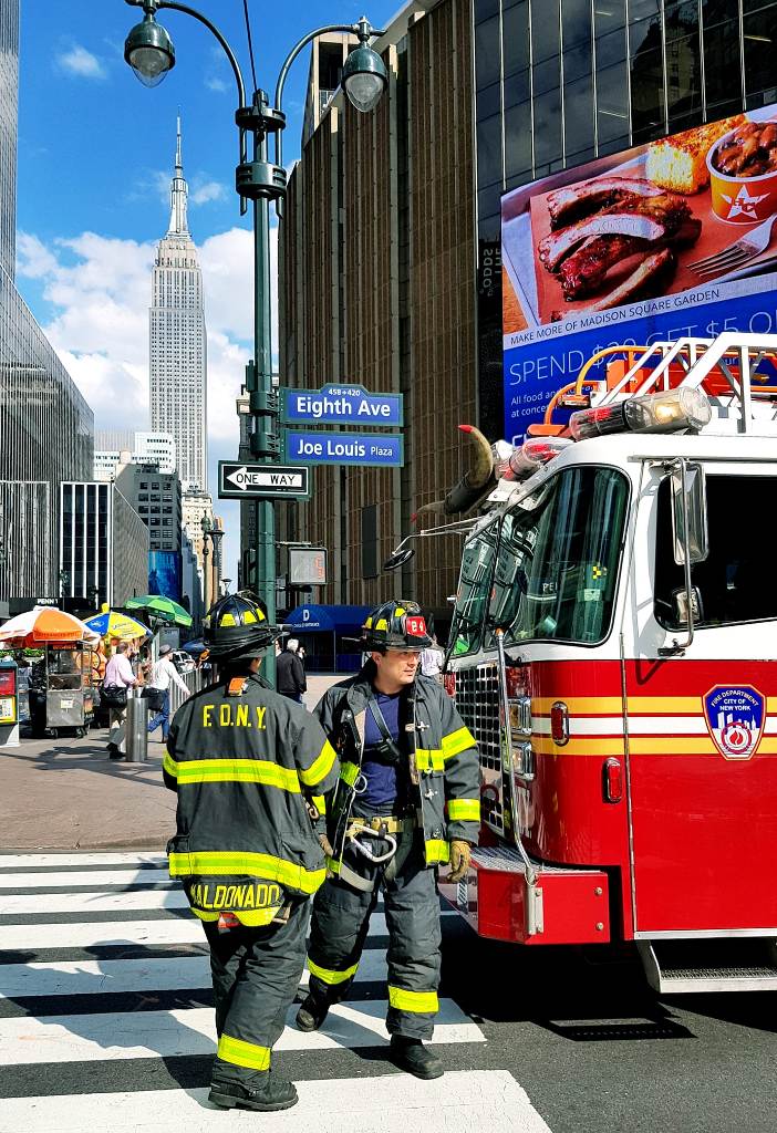 Fdny-empire-bull Fdny-empire-bull