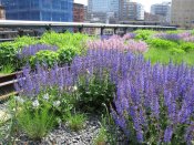 Highlinepark-10