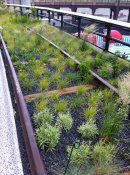 Highlinepark-11