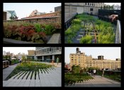 Highlinepark-14