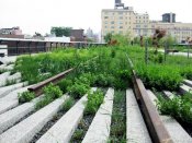 Highlinepark-21