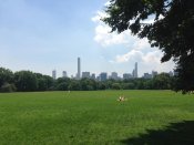 Letni-den-centralpark-00