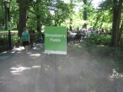 Letni-den-centralpark-04