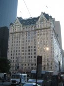 Letni-den-centralpark-07