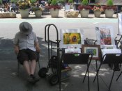 Letni-den-centralpark-10