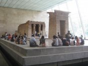 Letni-den-centralpark-14