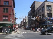 Letni-den-centralpark-19