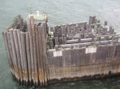 Letni-den-centralpark-28