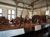 Naturalhistorymuseum1