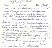 Vzpominani-na-newyork-davidw-priloha