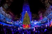 Rockefellerchristmastree-01